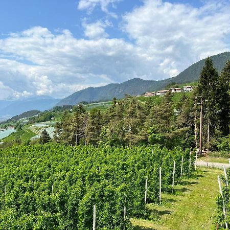 Agritur Maso Forcola Vila Brez Exterior foto