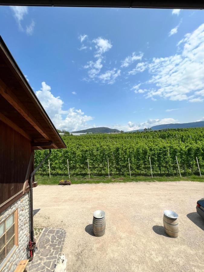 Agritur Maso Forcola Vila Brez Exterior foto