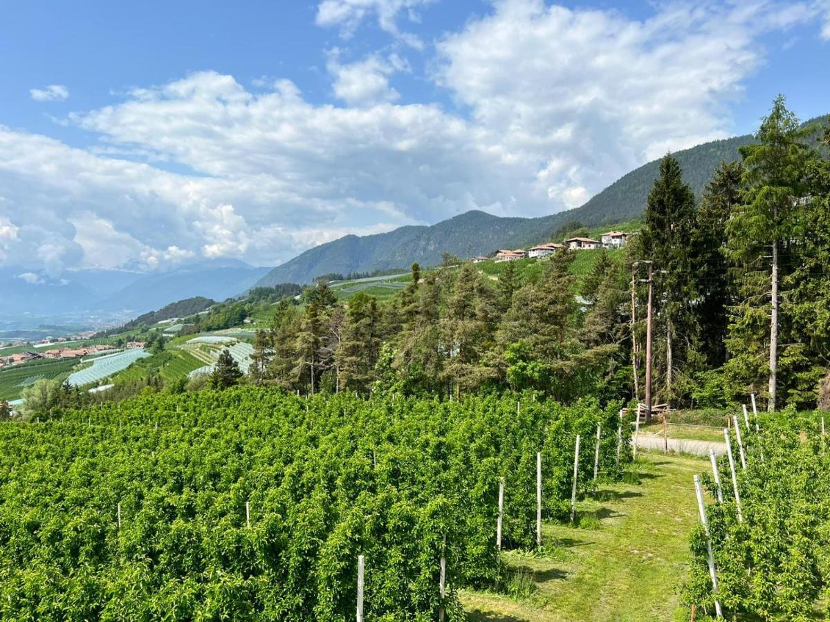 Agritur Maso Forcola Vila Brez Exterior foto