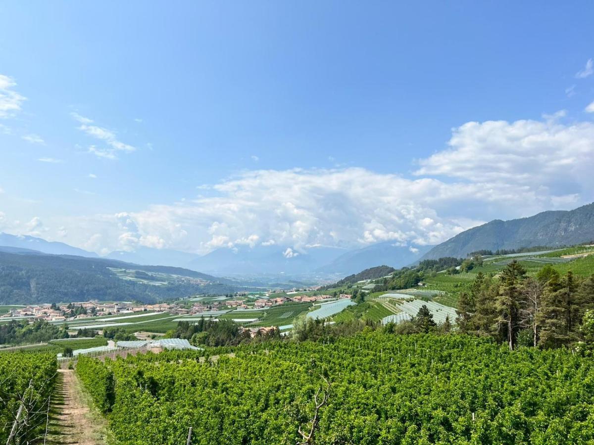 Agritur Maso Forcola Vila Brez Exterior foto